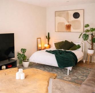 Dundonald Apartment | Modern Studio Apartment with Kitchenette near Belfast