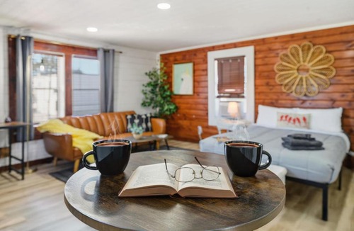 St. Petersburg Hotel | Modern Studio Balcony Pet Friendly