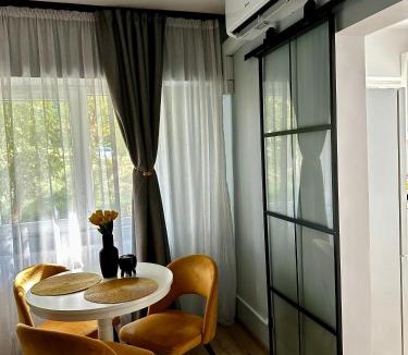 Zalau Apartment | Modern studio D-va N