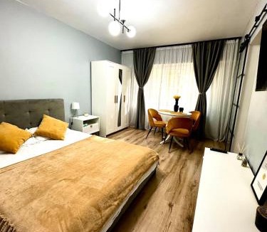 Zalau Apartment | Modern studio D-va N