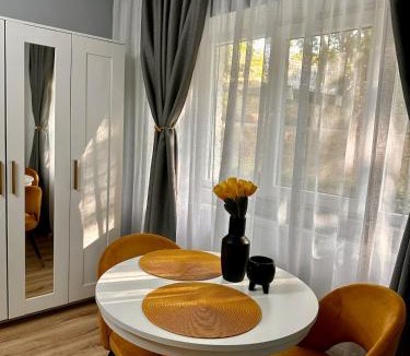 Zalau Apartment | Modern studio D-va N