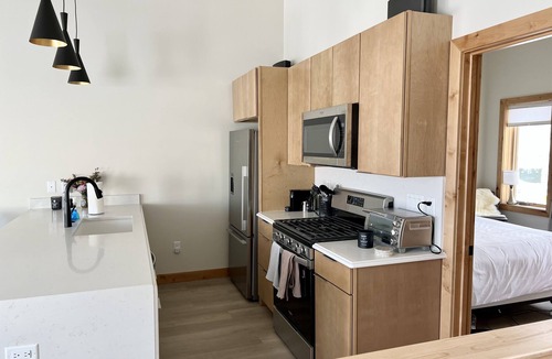 Crested Butte House | Modern townhome, minutes to ski resort, includes sauna and ping pong table