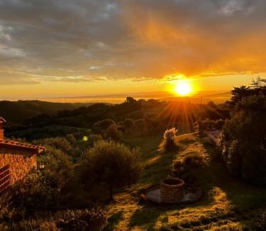 Chianni Bed & Breakfast | Modern Tuscan Escape Podere la Svolta