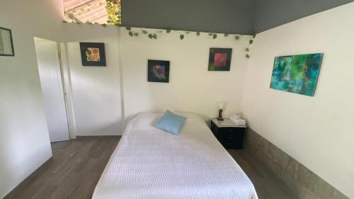 San Antonio del Tequendama House | Moderna cabaña en medio de la naturaleza