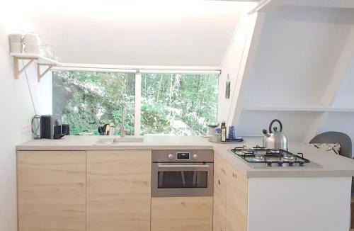 Septon Ski Chalet | Moderne A-Frame midden in het bos, luxe vakantiehuis Durbuy