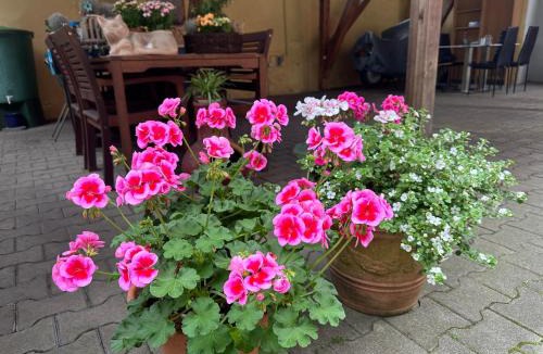 Werne Apartment | Modernes Apartment 5 , 6 und 7 in Bochum