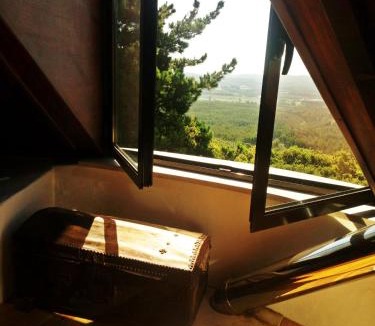 Rio Maior House | Moinho da Senta
