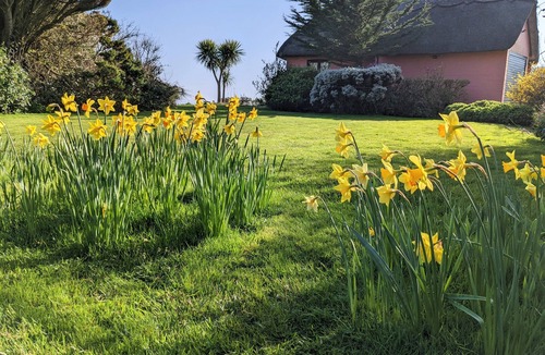Shanklin Cottage | Mole Cottage - a cottage that sleeps 7 guests in 3 bedrooms