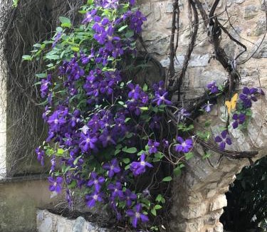 Asso House | Molino Valsecchi 1369