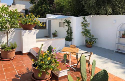 Ischia Porto Bed & Breakfast | Molo35