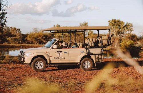 Rust De Winter Cabin | Mologa River Lodge