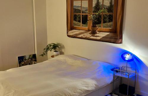 Gimhae Apartment | Momo House2