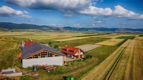 Armaseni Noi Resort | Mongol champing