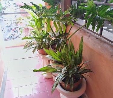 Phnom Penh City Centre Hostel | Monica's house
