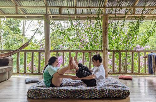 Rivas Hostel | Montaña Verde