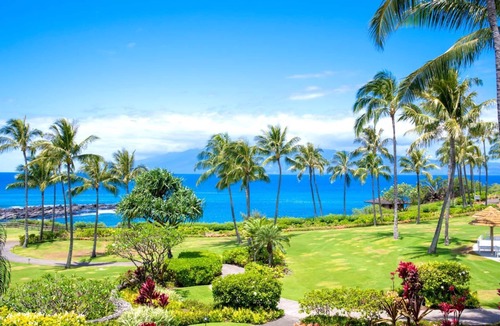 Montage Kapalua Bay Condo | Montage Kapalua Bay Collection by KBM - 3 Units (1205/1303/1304)