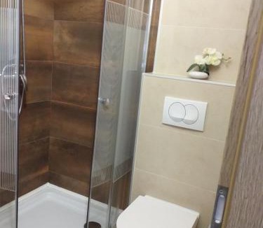 Seget Apartment | Monte studio app 1