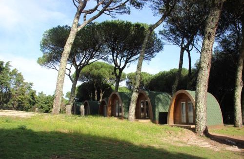 Lamas Other | Montejunto Bungalows