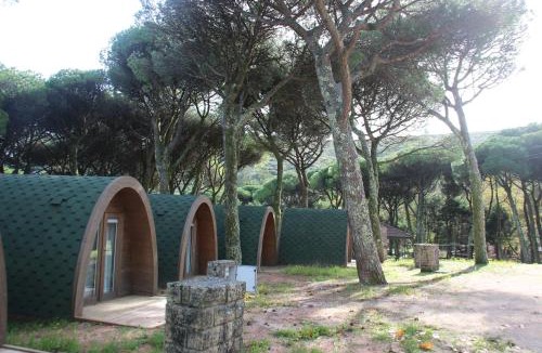 Lamas Other | Montejunto Bungalows