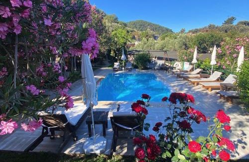 Faralya Hotel | Montenegro Motel