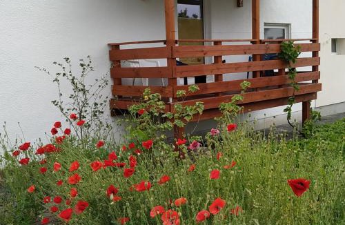 Steffenberg Apartment | Monteur - Ferienwohnung - Marburg-Biedenkopf - Steffenberg - Erdgeschoss mit Balkon