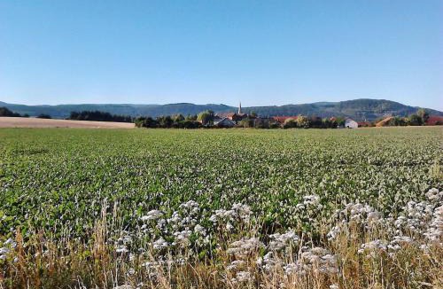 Langelsheim Apartment | Monteurwohnung Langelsheim 6 Personen