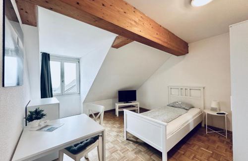 Flumenthal Apartment | Monteurzimmer - Worker's accommodation - ZIMMERzuVERMIETEN in Flumenthal Solothurn