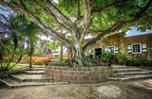 Pond Hill Resort | Montpelier Nevis