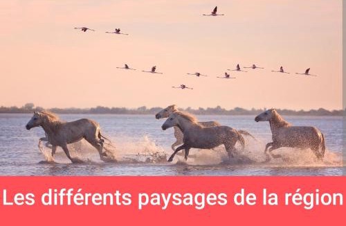 Millenaire Other | MONTPELLIER ET SES PLAGES van de couchage pour dépanner quelques nuits juste pour dormir il n'y a pas de sanitaire ni cuisine prévoir une batterie externe,à 10 minutes en voiture des PLAGES et à 5 minutes du centre-ville Montpellier
