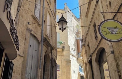 Montpellier City-Centre Apartment | Montpellier Swallow in the heart of Montpellier's historic center