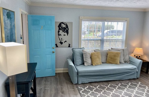 Neartown Apartment | Montrose Hist Dist - CharmAzure 2 Br/1Ba w W/D apt
