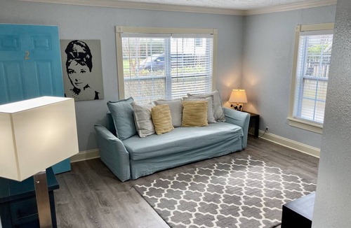 Neartown Apartment | Montrose Hist Dist - CharmAzure 2 Br/1Ba w W/D apt