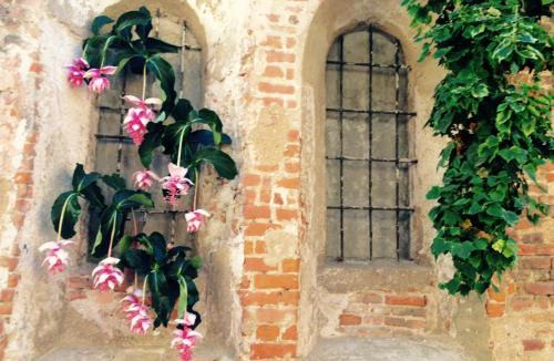 Pavia House | Mood-Siro Comi