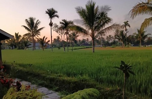 Kecamatan Montong Gading House | Moofa Homestay