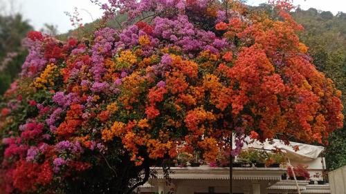 Kedavur House | Moon moon Garden