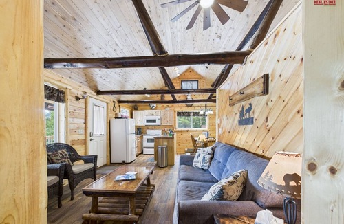 Munising Cabin | Moonlight Ridge-Cabin on 16 Mile Lake, Quiet Setting, Kayaks & Canoe