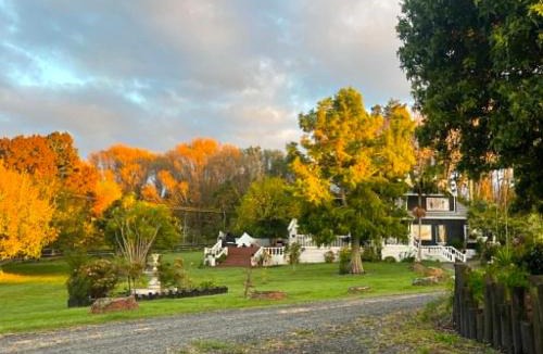 Dairy Flat House | MoonWillow Manor