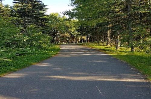 Sand Lake Apartment | Moose Meadows- Near the airport, centrally located