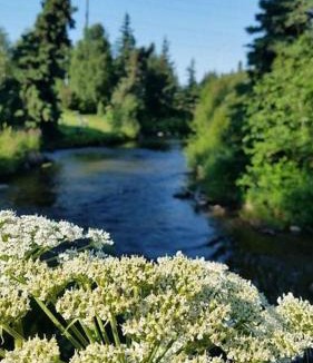 Sand Lake Apartment | Moose Meadows- Near the airport, centrally located