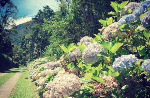 Vargem Grande Hotel | Morada dos Goldens