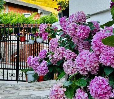 Seoca Apartment | MorePlanina