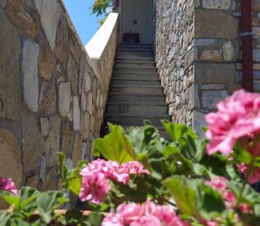 Limenaria Apartment | Morfili Villa