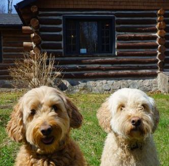 Blue Sea Ski Chalet | Morissette Base Camp - Lakeside Cozy Retreat for families and hikers