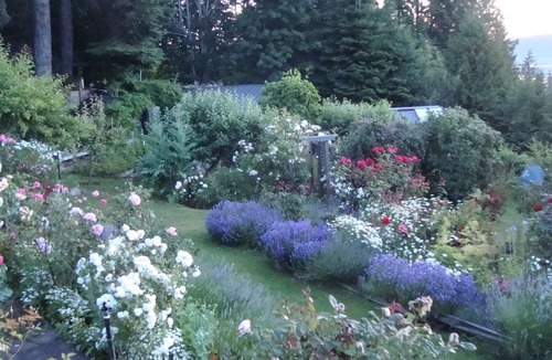 Salt Spring Island Apartment | Morningside Garden Suite FLASH SALE- CHECK OUT OUR WINTER GET AWAY SPECIAL