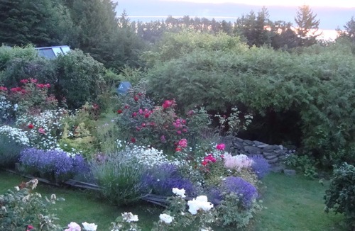 Salt Spring Island Apartment | Morningside Garden Suite FLASH SALE- CHECK OUT OUR WINTER GET AWAY SPECIAL