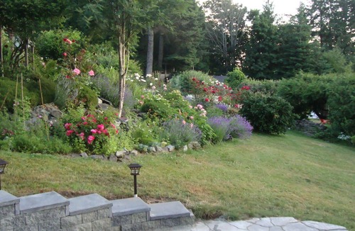 Salt Spring Island Apartment | Morningside Garden Suite FLASH SALE- CHECK OUT OUR WINTER GET AWAY SPECIAL