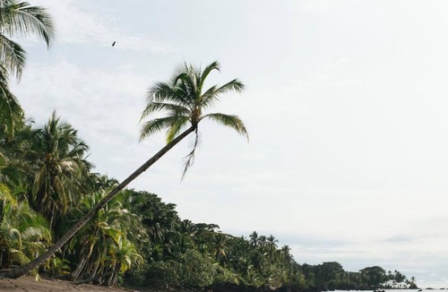 Nuqui Hotel | Morro Terco Hotel