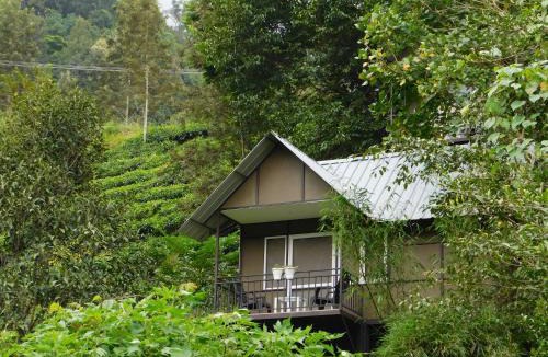 Chithirapuram Villa | Moselberg Riverside Cottages
