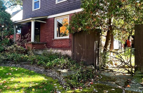 Oberlin House | Moss Cottage, Moss Cottage