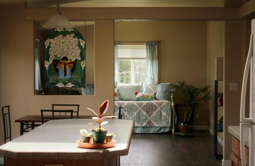 Alpine House | Moss Room: Nature, Weed, & Wine at Fernwood